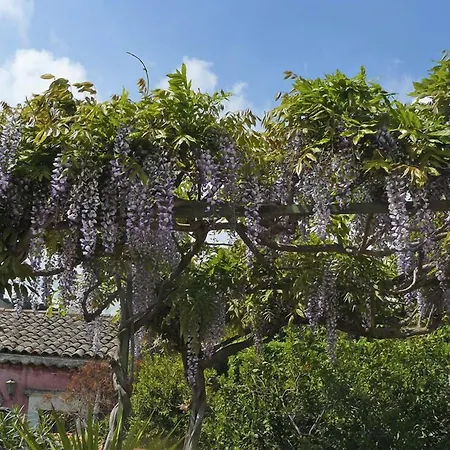 Casa Velardi 3*