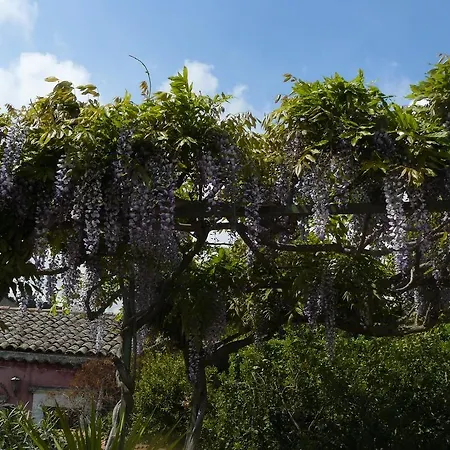 Casa Velardi בית הארחה