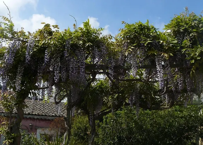 Casa Velardi Pensión